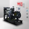 EPA Certified Watercooled Yangdong diesel generator 10kw with cheap price