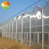Polycarbonate galvanized steel frame greenhouse