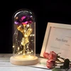 HOT Rose In Flask Beauty And The Beast Gold-plated Red Rose With LED Light In Glass Dome For Wedding Party Mother's Day Gift