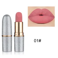 

Hot Sales Private Label Cosmetics Matte Lipstick OEM Private Color Matte Lipstick With Low MOQ