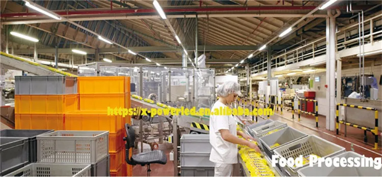 LED Batten Light in commercial application