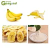 fruit vegetable powder making machine/processing plant
