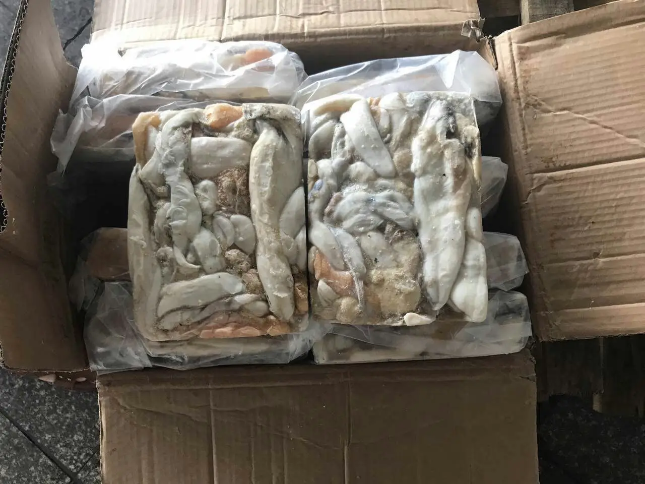 giant squid roe (6).jpg