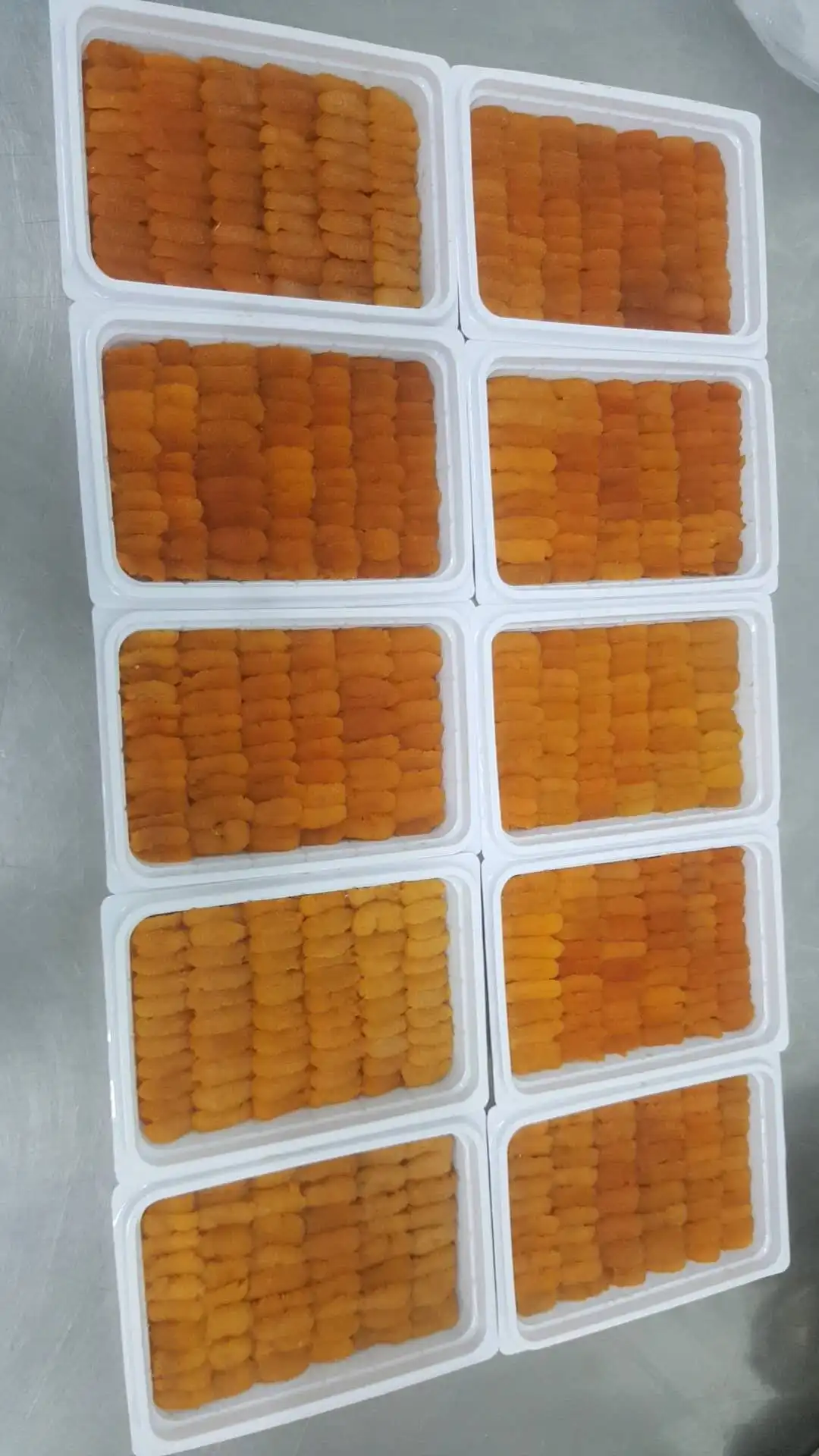 
Fresh sea urchins from Japan export company 