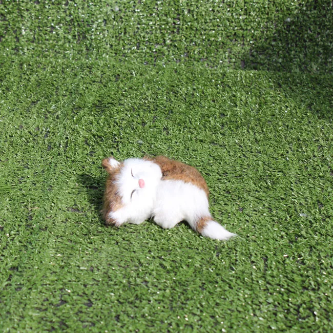 gatitos de peluche que respiran