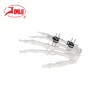 24 hours feedback Mini fixator straight type external fixation orthopedic instrument