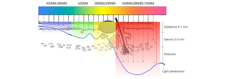 BM091-IPL+SHR_03.jpg