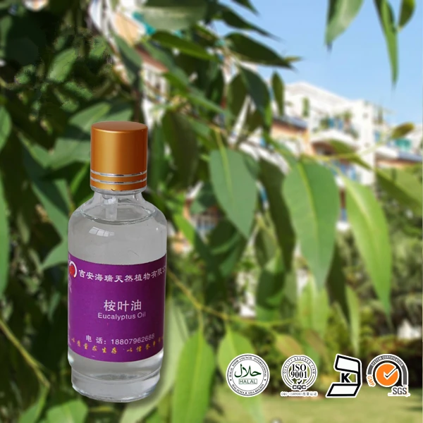 Wholesale Natural Aromatherapy Eucalyptus Essential Oil For Skin Care