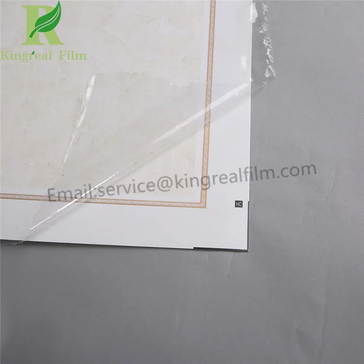 protective film18112702