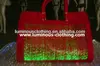 Top Quality Wholesale Luxury Beautiful Ladies Handbags Manufacturer 2013 Tote Bag / Handbag Inside Light