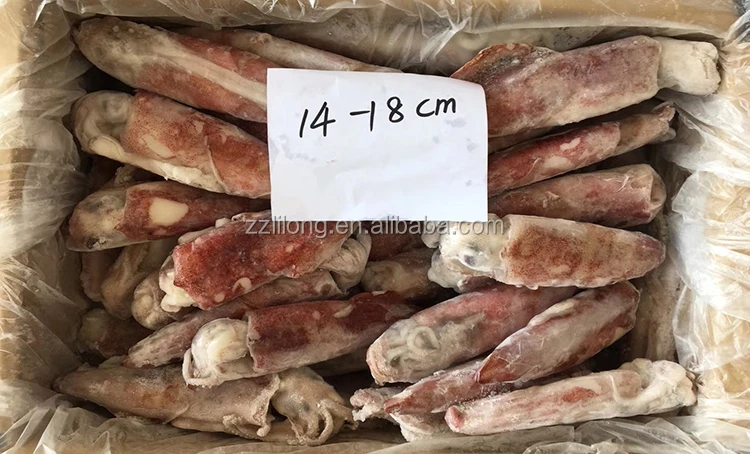 frozen loligo squid whole and tentacle tube