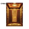Wholesale from china luxury elevator cabin luxury passenger elevator 1350kg MR