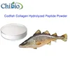 Best Marine Fish Collagen raw material ascian manufacturer