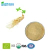 New product Panax ginseng berry extract 20% ginsenosides for sale