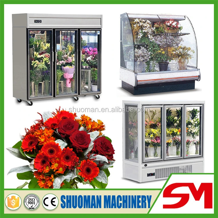 Rápido Y Buen Efecto De Refrigeración Refrigeradores Para Flores Buy