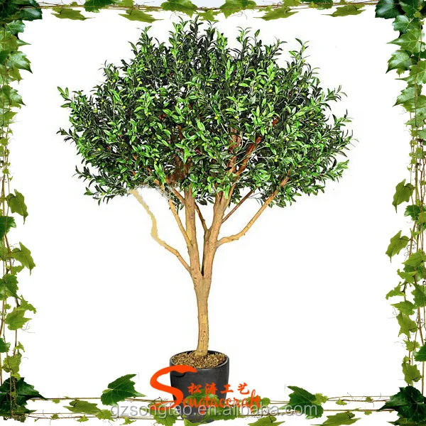 نباتات زينة دائمة الخضرة شجرة بونساي بلاستيكية لتزيين شجرة الزيتون Buy شجرة بونساي قديمة للبيع شجرة زيتون صناعية أشجار صناعية داخلية Product On Alibaba Com