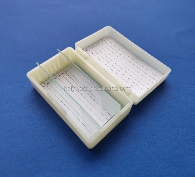 10 Glass Slide Storage Box 10place Microscope Slide Case For Lab Buy