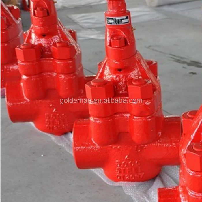Mud Gate Valve.jpg