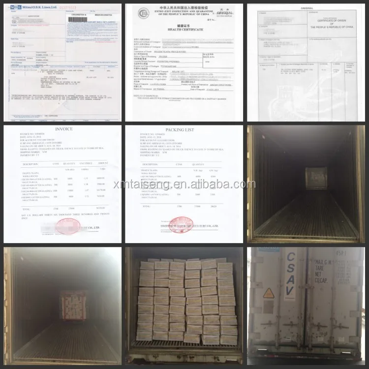 Wholesale Cheap Seafood Frozen Fresh Pacific Mackerel Fish Whole Round