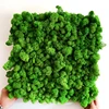 China Most Popular Different Types Preserved Artificial Green Moss Wall Moss Panel for Landscape Decoration