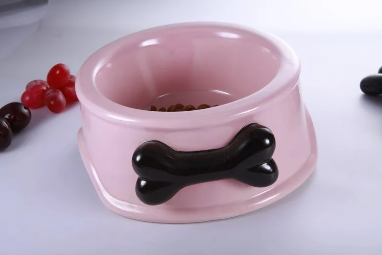 cute girl dog bowls