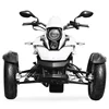 /product-detail/200cc-double-passenger-motorized-drift-trike-for-adult-62017385091.html