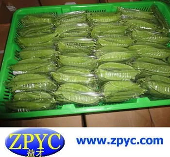 Download Chinese Fresh Snow Peas - Buy Fresh Snow Peas,Green Snow Peas,Fresh Snow Peas Product on Alibaba.com