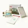 Hot Dog NOS3/ Nitric oxide synthase, endothelial ELISA Kit