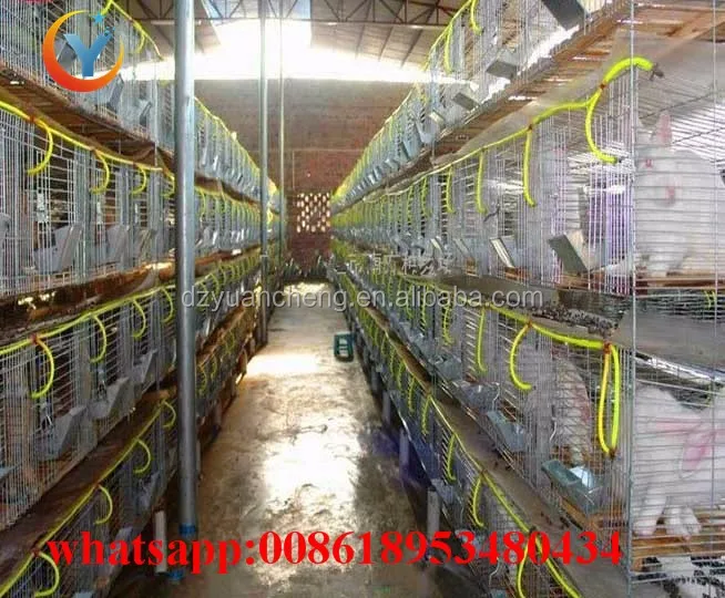Best Selling Welded Rabit Cage Rabbit Commercial In Kenya Farm Buy