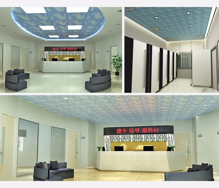 PC007_4 | Prance | Aluminum Ceiling | Metal Ceiling | PVC Panel | Calcium Silicate Board | Curtain Wall | Ceiling Tiles | False Ceiling | Mineral Fiber Ceiling | Gypsum Board | Fiber Cement Board