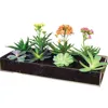 Wholesale Desktop Clear Acrylic Planter Tray, Rectangle Flower Pot
