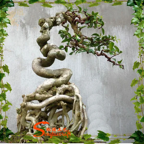 78+ Gambar Bunga Bonsai Paling Bagus 78+ Gambar Bunga Bonsai Paling Bagus