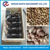 Small Capacity Raw Cashew Nut Processing Equipments| New Plant Use Cashew Nut