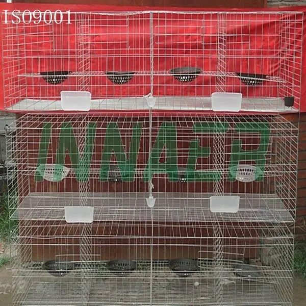 buy pigeon cage