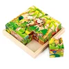 Hot selling 6 sides draw brain games 3D wooden puzzle educational toys child