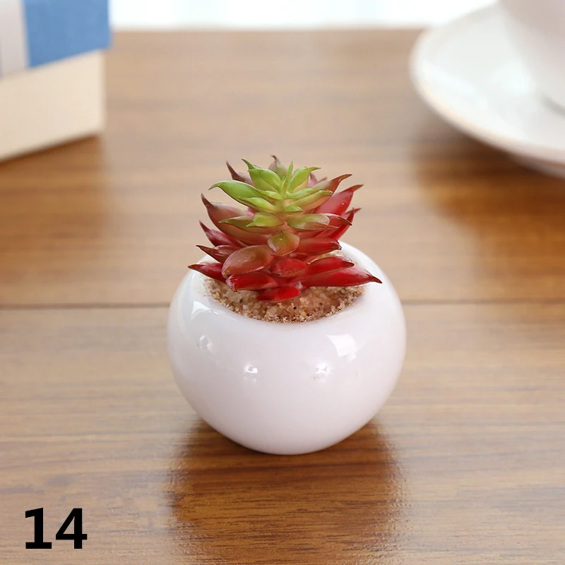 White Ceramic Potted Artificial Plastic Small Succulent Plants Outdoor Plants Buy Small