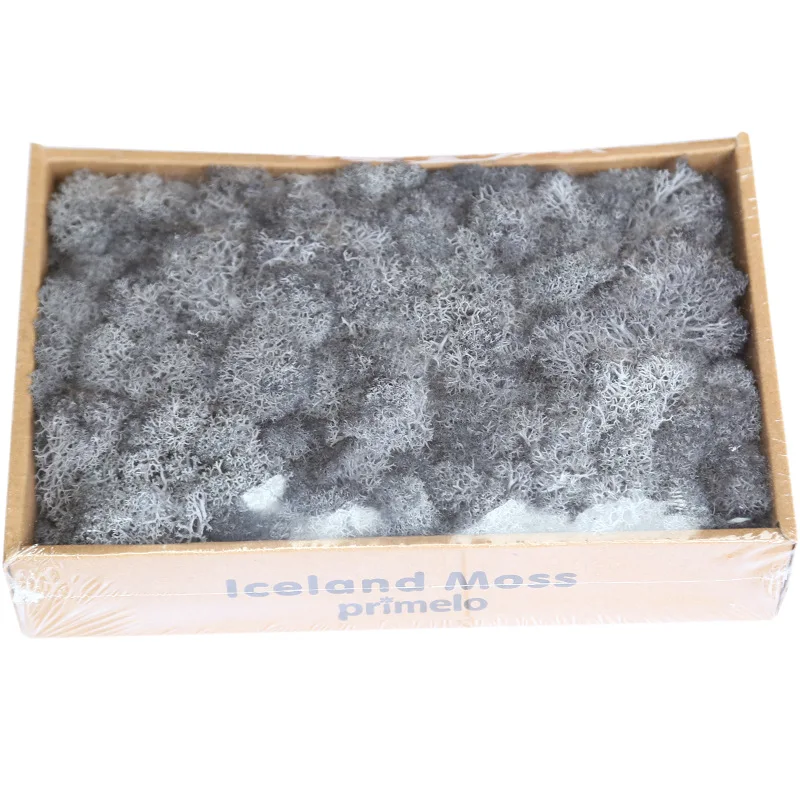 8954849011_1787692047