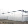 Tunnel,Multi Span,Polycarbonate,Glass Tomato Greenhouse