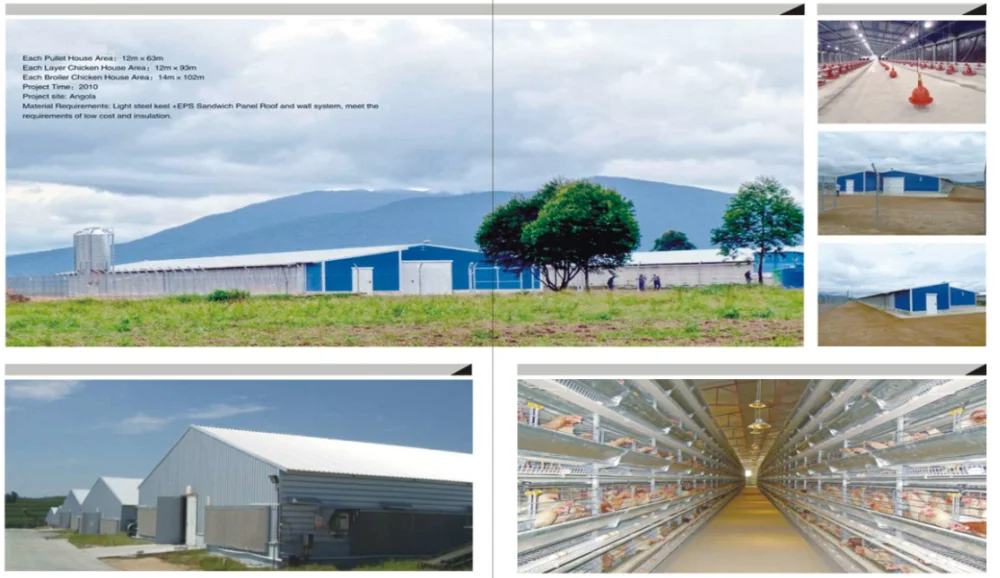 whole low cost prefab steel broiler/layer poultry farm shed factory in china