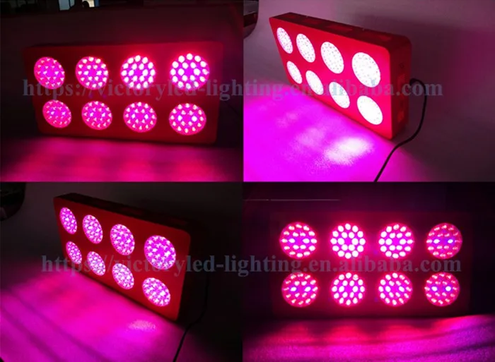 Indoor Led Light Plants 600 W Led Growing Light Full Spectrum Made In China