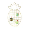 Pineapple grid decoration girl dormitory creative photo Iron frame