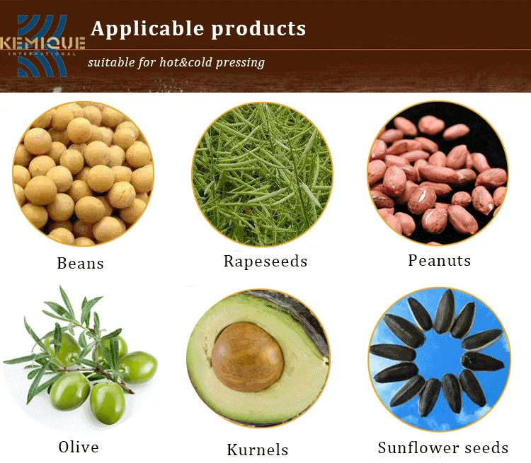 cold oil press machine