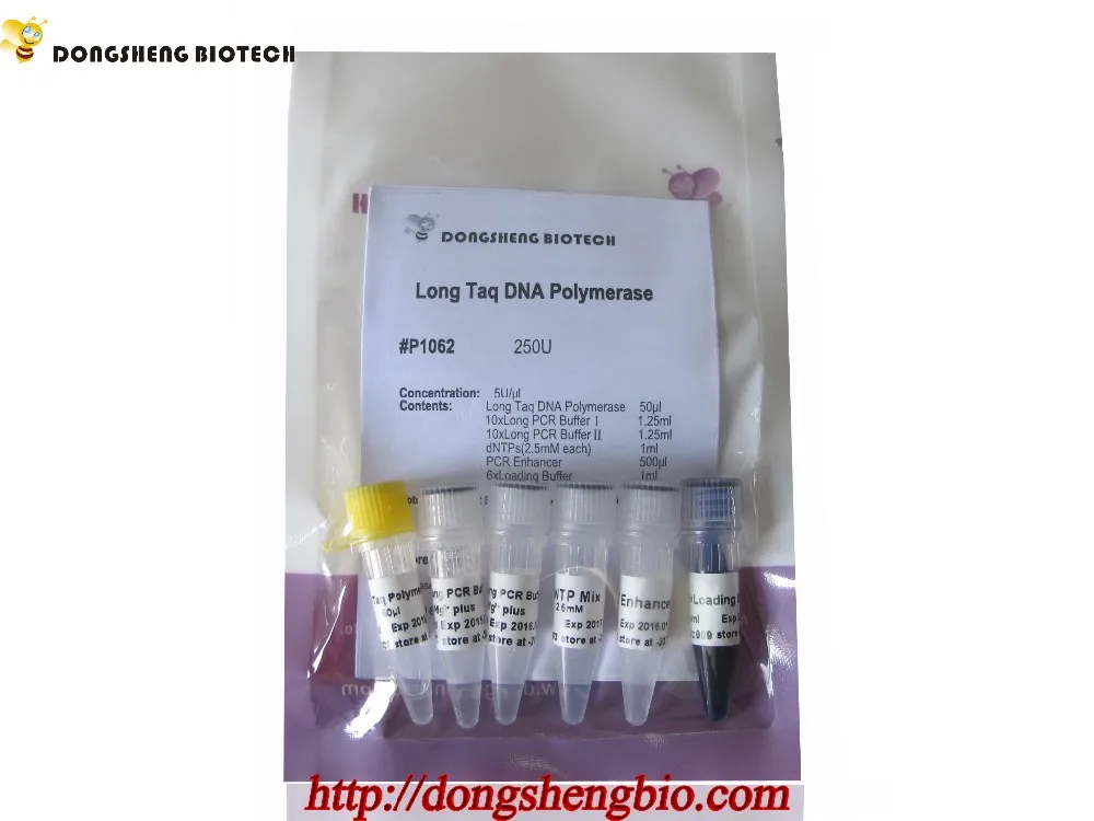P1062 Long Taq DNA Ploymerase.jpg