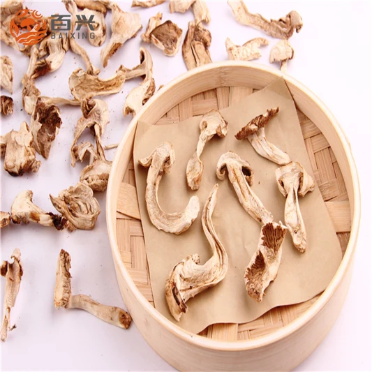 
High Quality Dried Wild Matsutake/ Pine Mushroom 