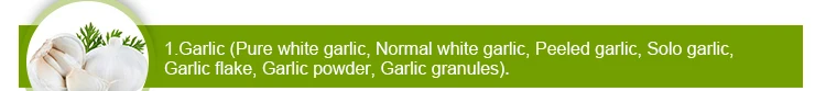 -_04.jpg