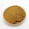 Supply Chasteberry Extract / Chaste Tree Berry Extract Powder