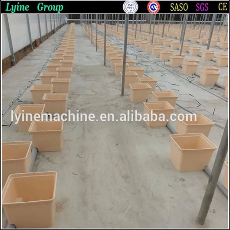 Deep Water Culture dutch bucket hydroponics growing systems (7).jpg