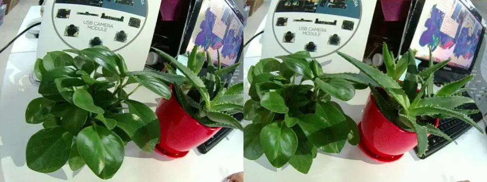 960P dual lens 1.jpg