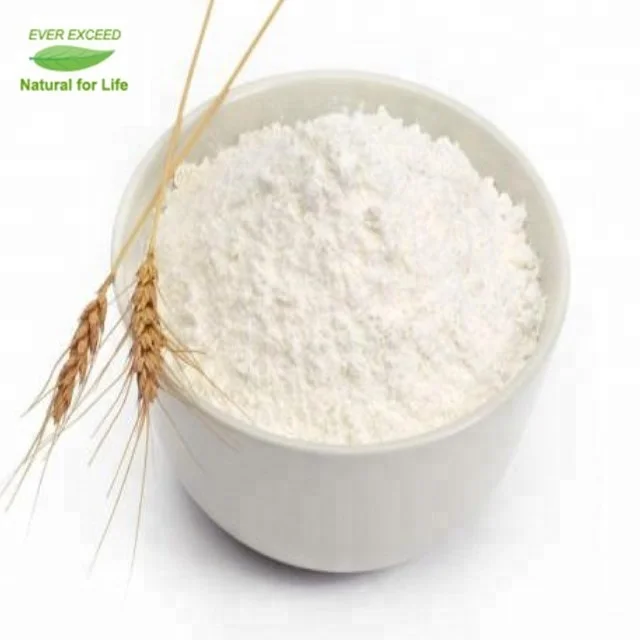 
High quality and competitive price vital wheat gluten bulk 