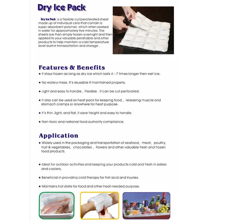 ISO 9001 High Performance White Reusable Dry Ice Pack For Food